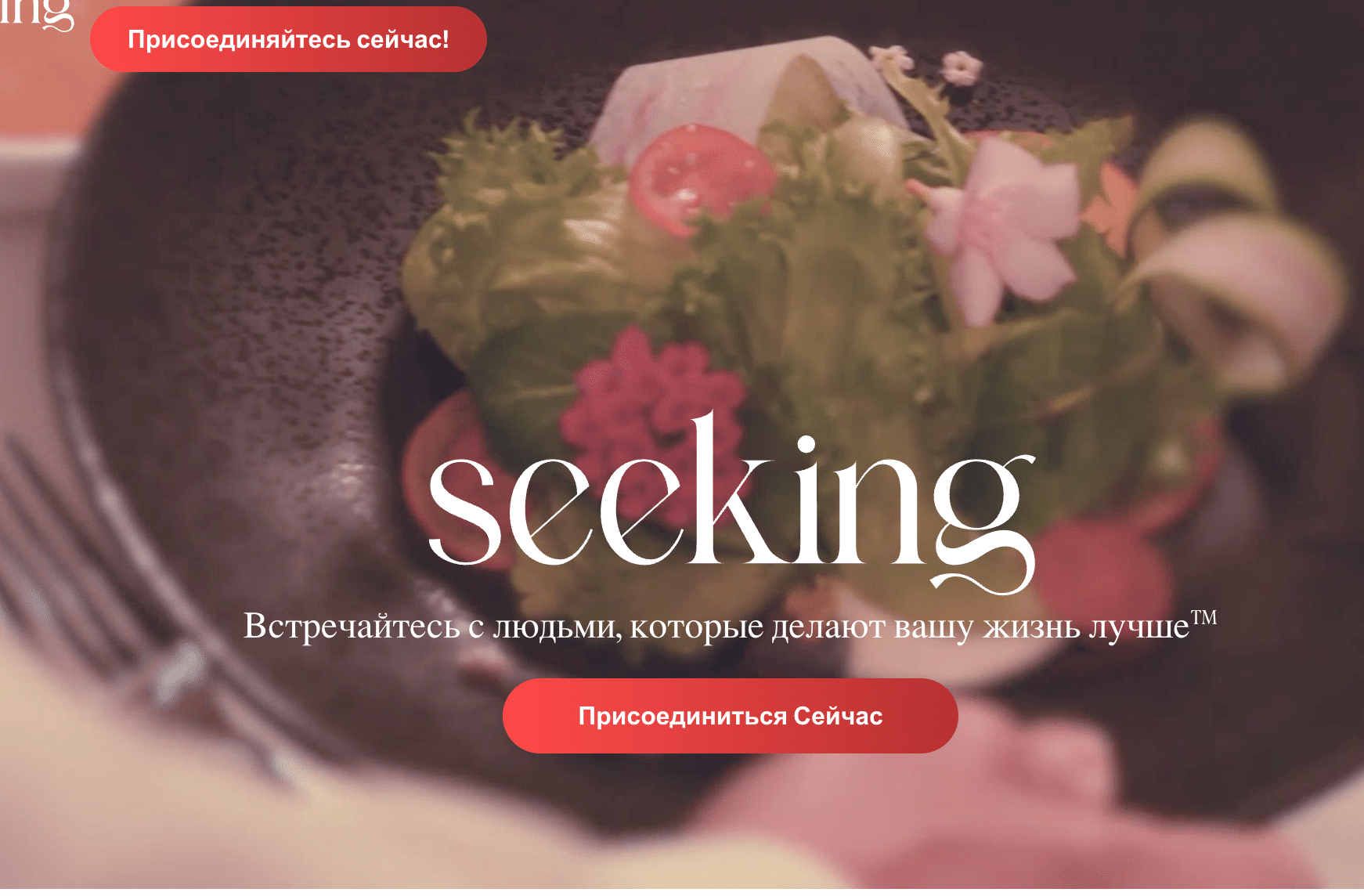 скриншот интерфейса Seeking